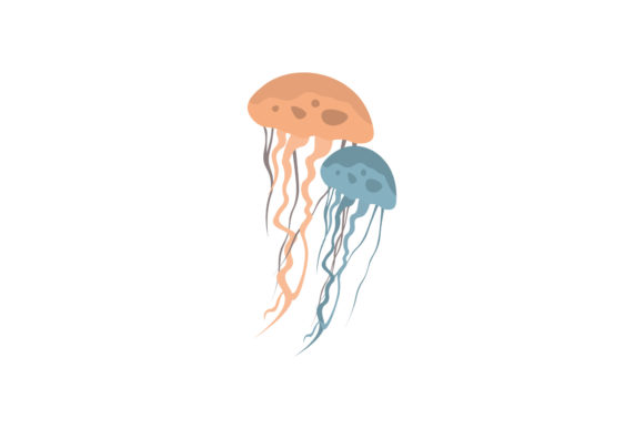 Jellyfish Illustrations Realis Vector Graphics